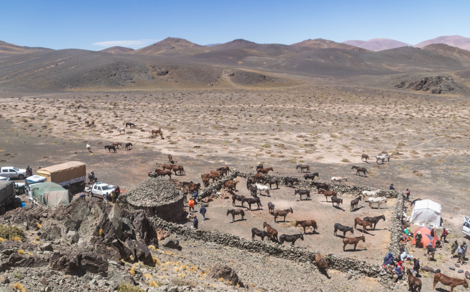 48. Paso de Come-Caballos